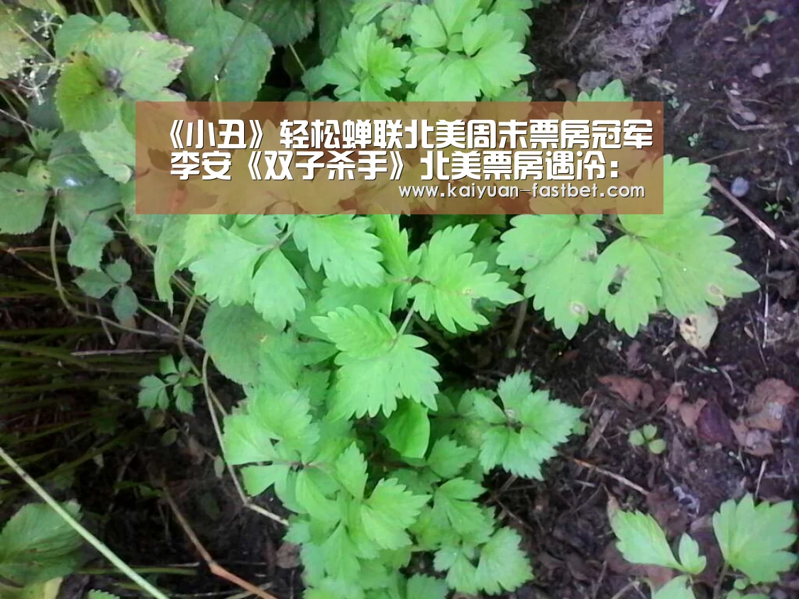 开元官网