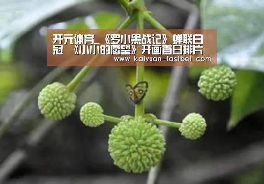 开元体育_《罗小黑战记》蝉联日冠 《小小的愿望》开画首日排片高居榜首(图2) 开元官网