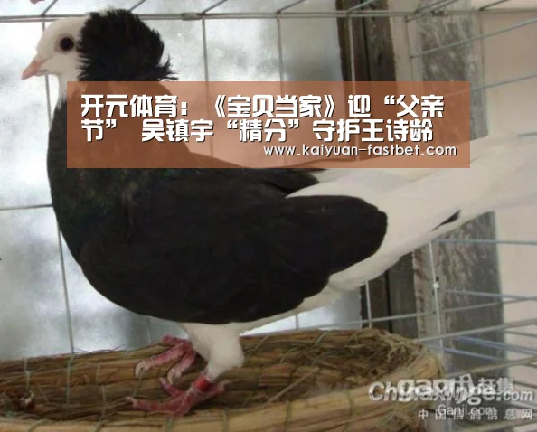 开元体育:《宝贝当家》迎“父亲节” 吴镇宇“精分”守护王诗龄(图1) 开元体验